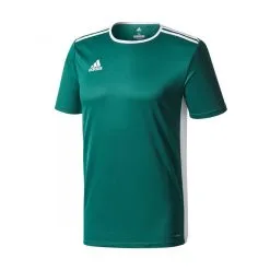 Camiseta Adidas Entrada 18 M/c Niño