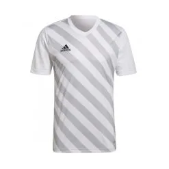 Camiseta Adidas Entrada 22 GFX M/c Niño