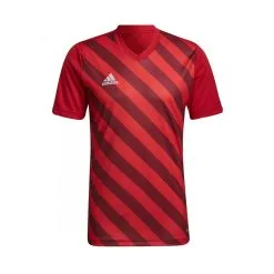 Camiseta Adidas Entrada 22 GFX M/c