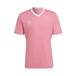 Camiseta Adidas Entrada 22 M/c