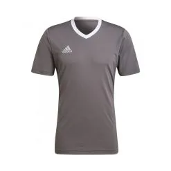 Camiseta Adidas Entrada 22 M/c