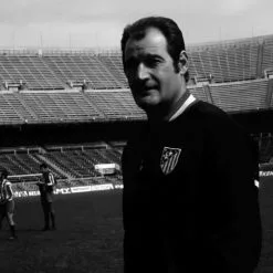 Chaqueta COPA Atlético De Madrid 1969 9 Chaqueta COPA Atlético De Madrid 1969 -Botas de fútbol comercio chaqueta copa atletico de madrid 1969 dark marine 3