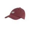 Gorra New Balance Panel Curved Brim Classic Hat