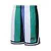 Pantalón Corto Karl Kani Varsity Striped Mesh 2 Pantalón Corto Karl Kani Varsity Striped Mesh -Botas de fútbol comercio pantalon corto karl kani varsity striped mesh verde 0