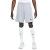 Pantalón Corto Nike Dri-Fit Strike 1 Pantalón Corto Nike Dri-Fit Strike -Botas de fútbol comercio pantalon corto nike dri fit strike wolf grey white black 0