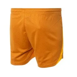 Pantalón Corto Nike Nike Dri-FIT Strike Mujer 6 Pantalón Corto Nike Nike Dri-FIT Strike Mujer -Botas de fútbol comercio pantalon corto nike nike dri fit strike mujer light curry 1