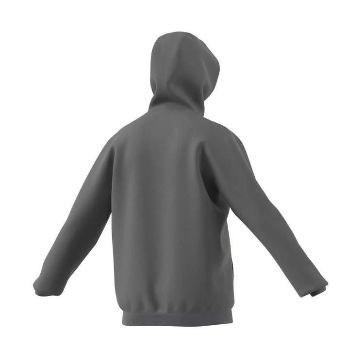 Sudadera Adidas Entrada 22 Hoody Niño 5 Sudadera Adidas Entrada 22 Hoody Niño - Imagen 3